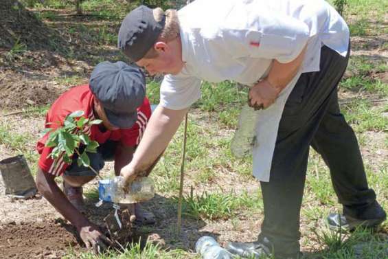 Le café comme un grand cru calédonien à l'Ecomusée