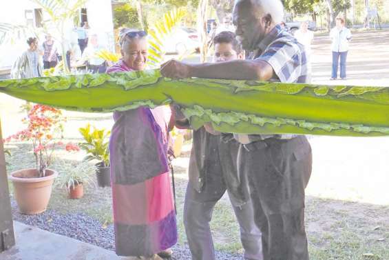 La maison Debien reprend vie