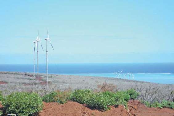 Voh bientôt capitale du renouvelable dans le Nord ?