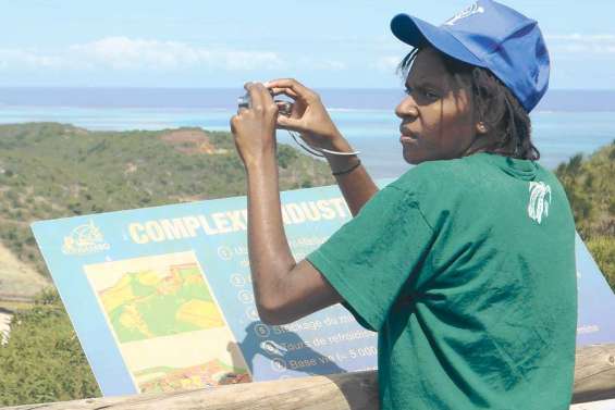 Après la mangrove, l'usine