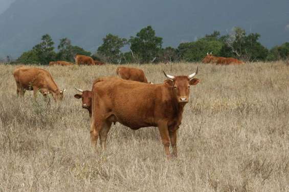 Une agriculture en mutation