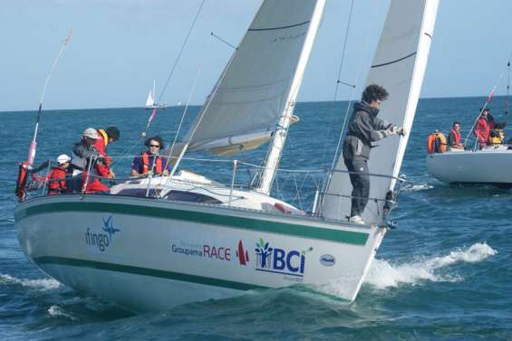 Radical Concept BCI dans le vent frais