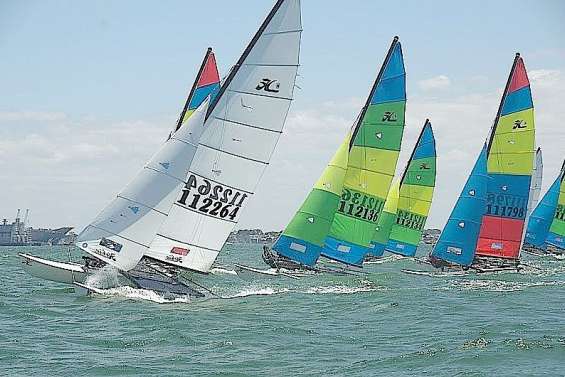 Les Cagous s'accrochent