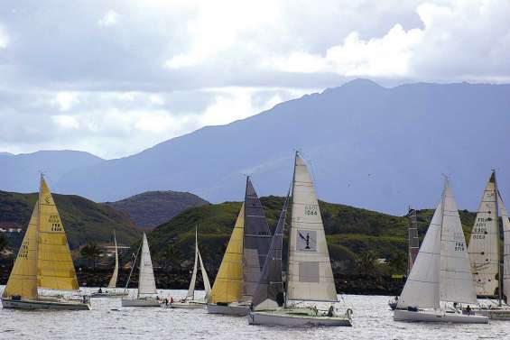 BCI Radical Concept en solo