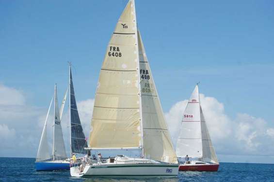 BCI Radical Concept en compensé