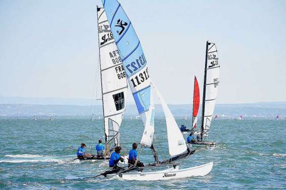 Les Cagous dans la brise