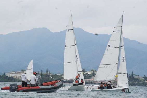 Les Kiwis en stand-by