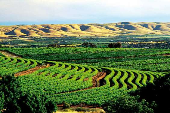 Un peu plus près des étoiles