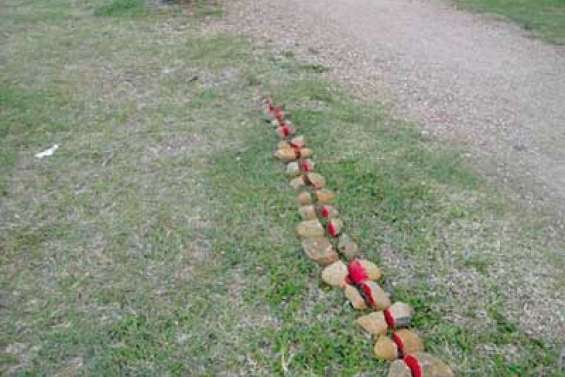 La nature comme chevalet