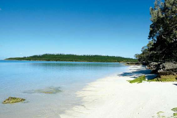 Goûtez aux joyaux de Luengoni