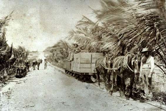 Les trésors de la mémoire