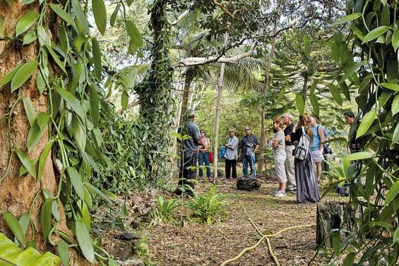 La vanille pour passion