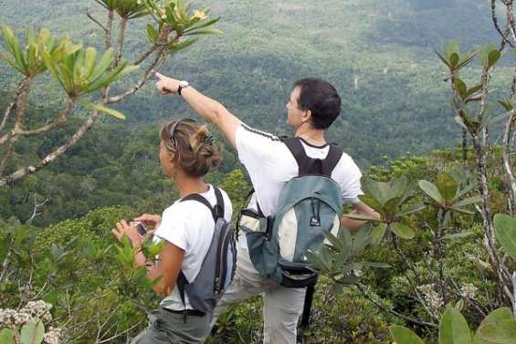 Un week-end au cœur de la forêt