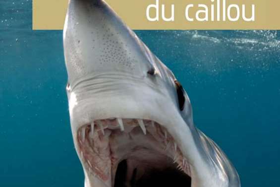 Entre fascination et angoisse