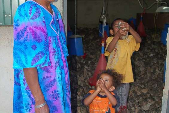 Au royaume de la caille