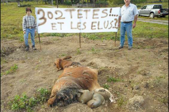 L'expression du ras-le-bol