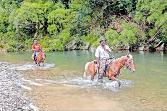 Découvertes à la Chaîne