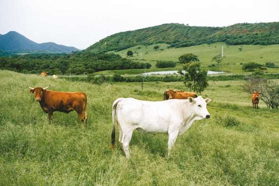 Des projets à irriguer