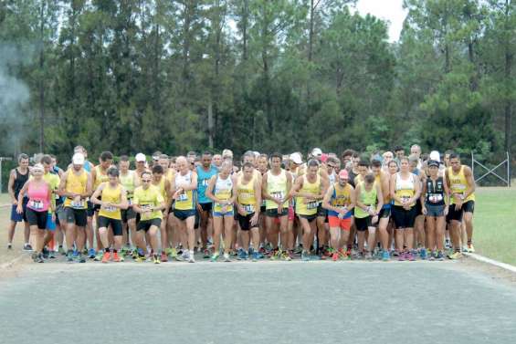 Des titres et des mouches