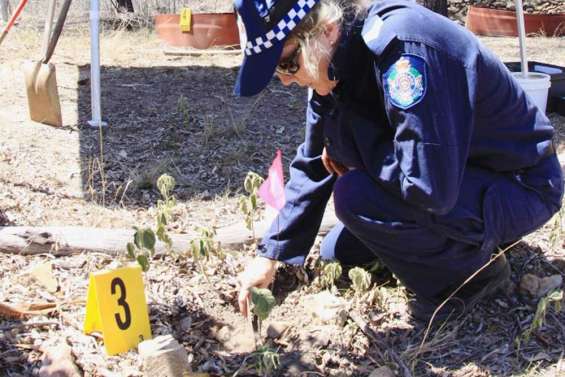 Des policiers à la  recherche de bébés