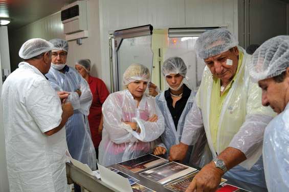 Du cerf au saucisson