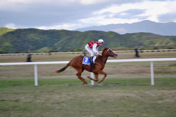 En attendant les paris