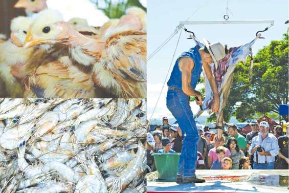 L'Agenda du week-end