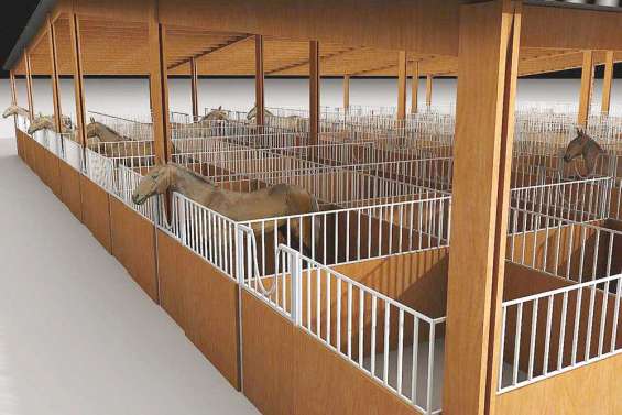 Cadeau kiwi pour les écuries