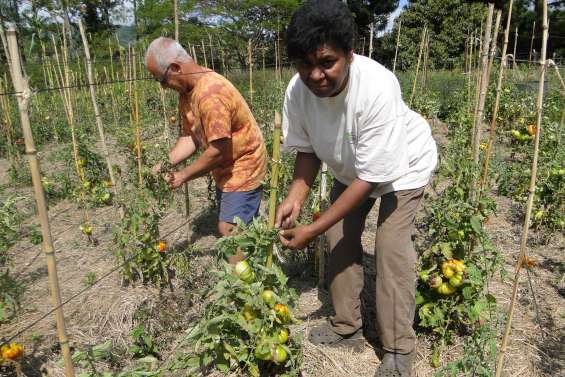 Laborantine agricole