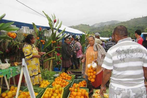 Une affaire bien juteuse