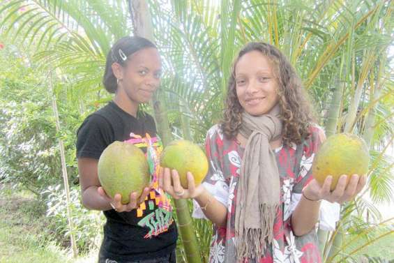 Des oranges grand format