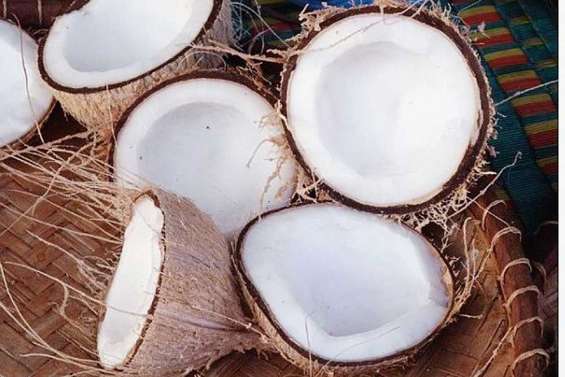 Produire du « coco-fioul »