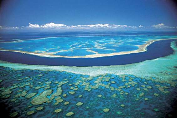 Les écologistes sceptiques