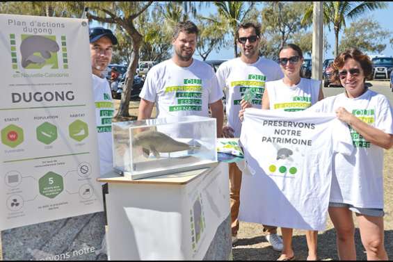 Le plan d'action dugong est lancé