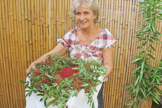 La vie en baies roses