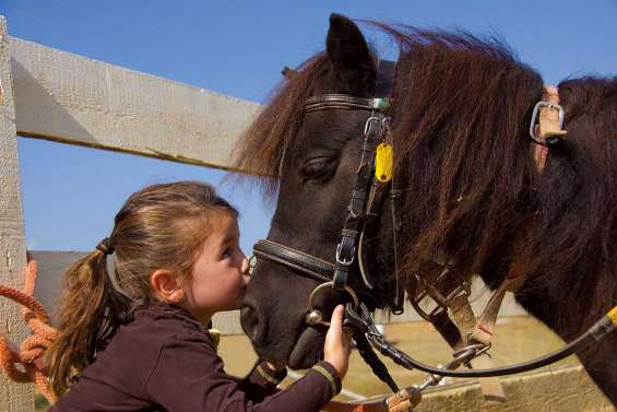 Mon cheval, ma bataille