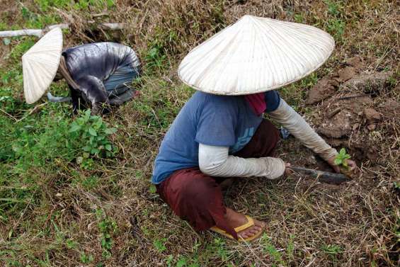 Le développement durable en images