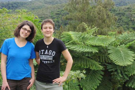 Deux oiseaux de passage