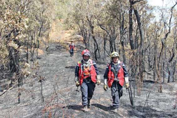 Le Caillou brûle toujours, en proie à une extrême sécheresse