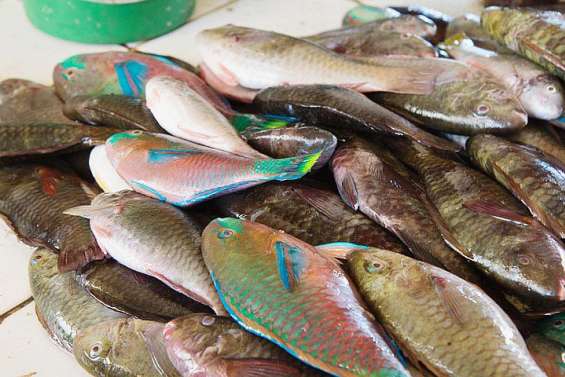 L'Agenda du week-end