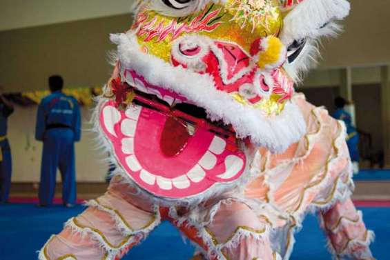 Fête du Têt Le dragon en fête