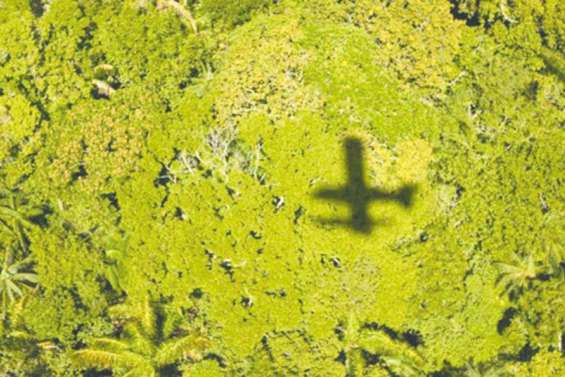 Elle survit 17 jours seule dans la forêt