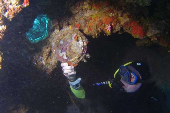 Une passion bien ancrée