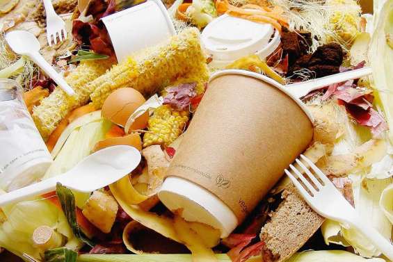 Le grand « gâchis alimentaire »