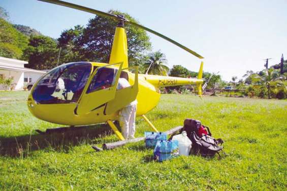 Les rats dans le viseur