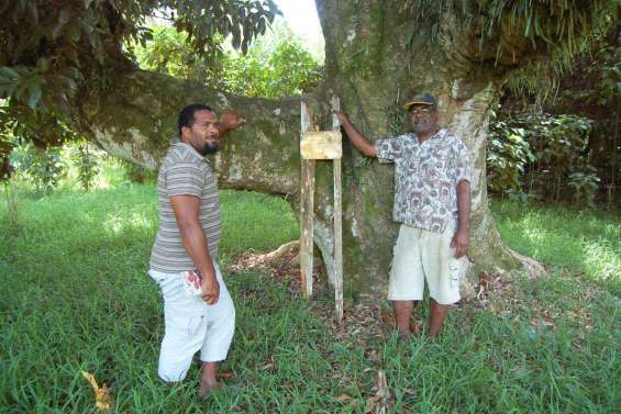 Rendez-vous samedi autour du letchi