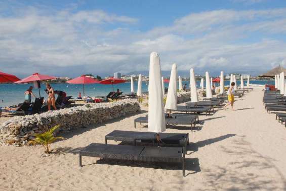 Environnement en danger