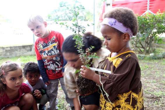 Jeunes pousses endémiques