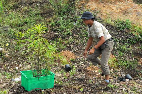 Au chevet de la nature