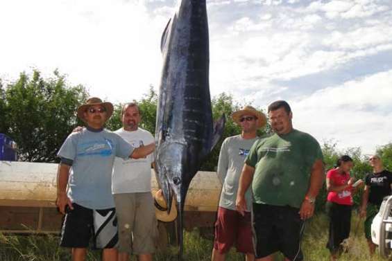Un marlin de 139 kg